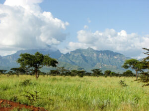 Read more about the article Uganda – Country in the picture